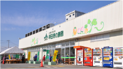 Kce̔_